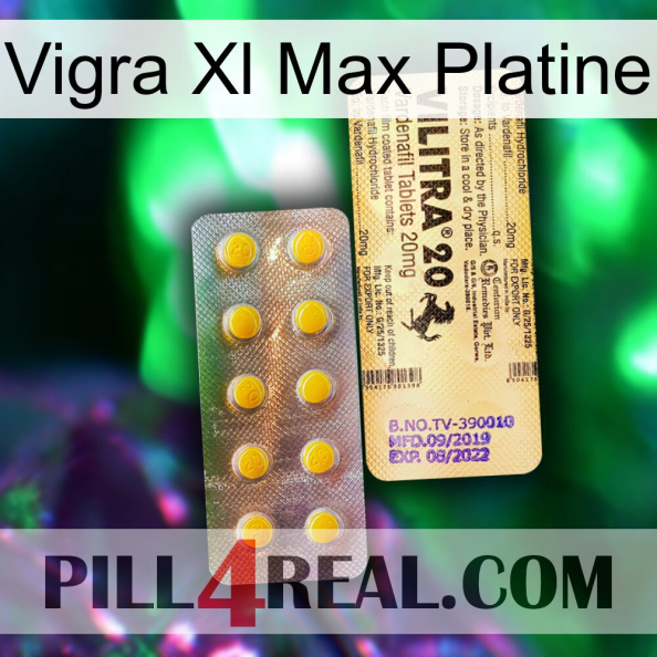 Vigra Xl Max Platinum new06.jpg
